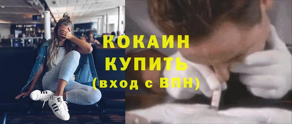 стаф Богородицк