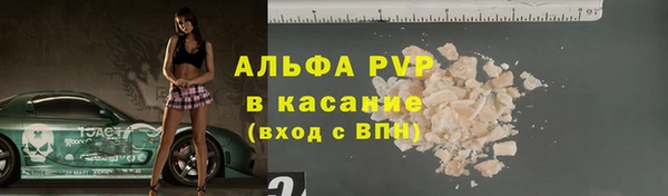 стаф Богородицк