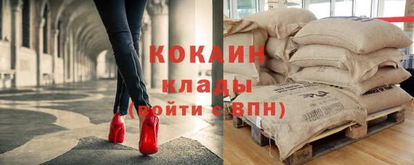 стаф Богородицк