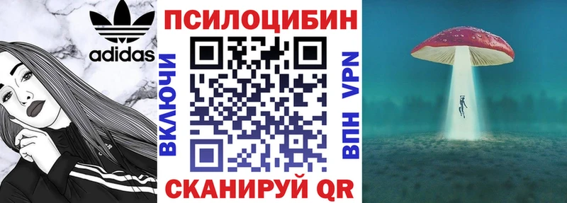 Галлюциногенные грибы мухоморы  Александровское 